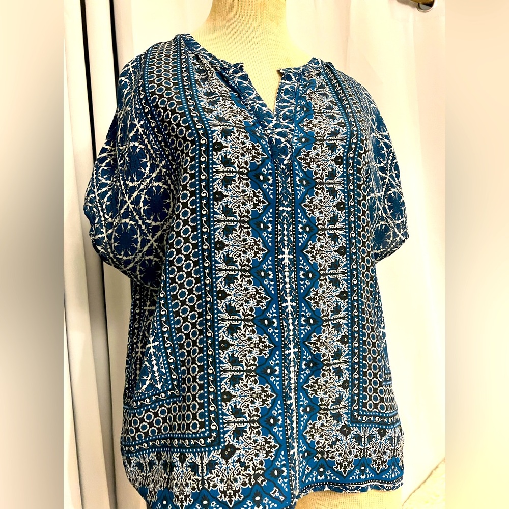 Tolani silk multi colored blouse